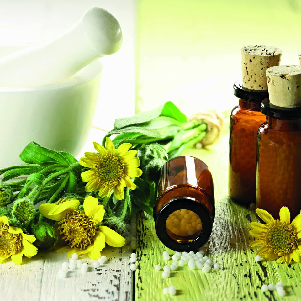 Arnica